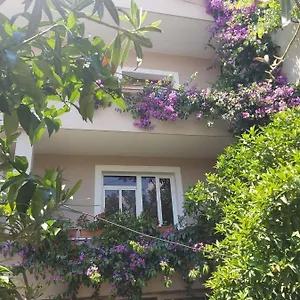  Apartment Flowers Albania